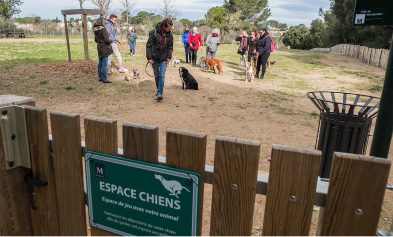 Parc à chien.png